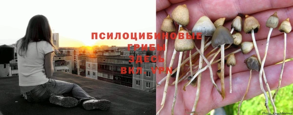 стаф Няндома