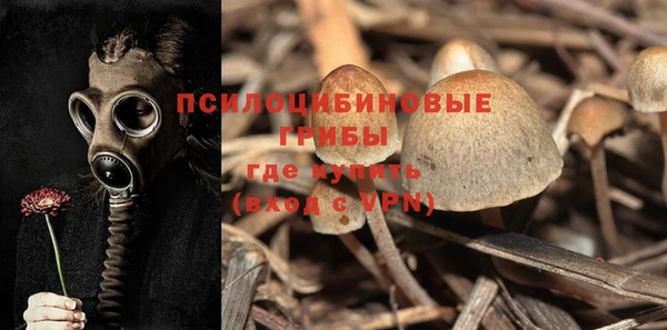 стаф Няндома