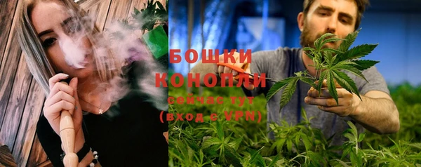 стаф Няндома